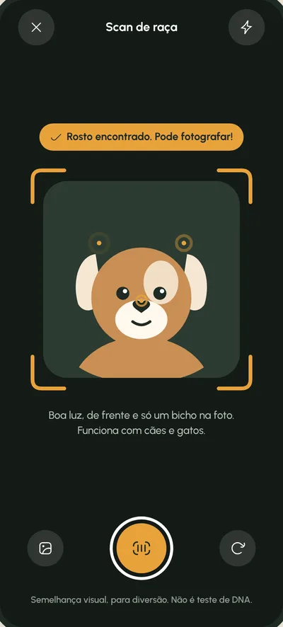 Tela Aponte a câmera: O rosto do pet no quadro
