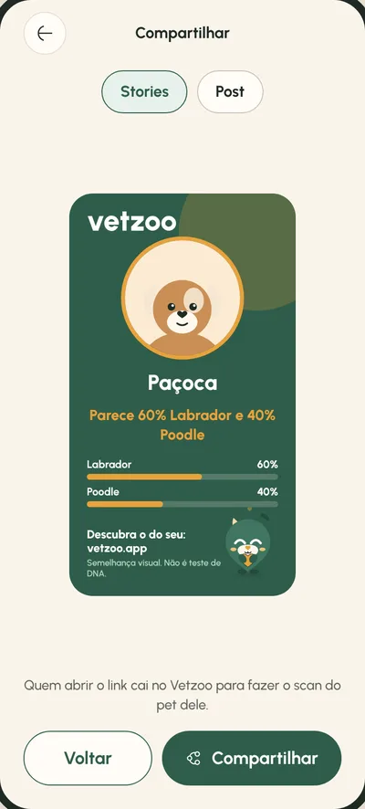 Tela Compartilhe: Card pronto para stories e post